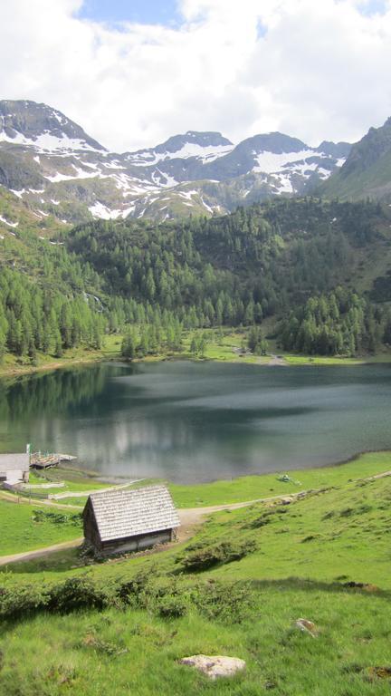 Rojerhof Villa Schladming Ngoại thất bức ảnh