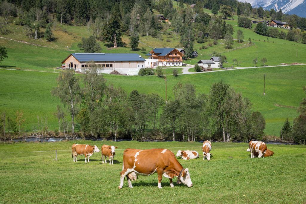 Rojerhof Villa Schladming Ngoại thất bức ảnh