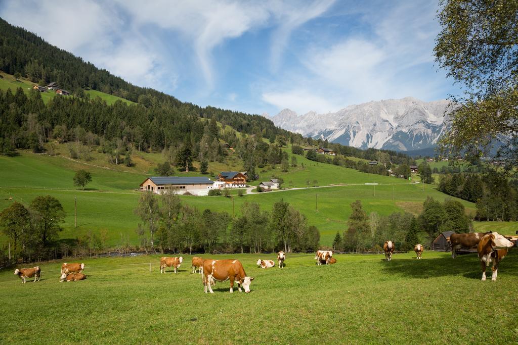 Rojerhof Villa Schladming Ngoại thất bức ảnh