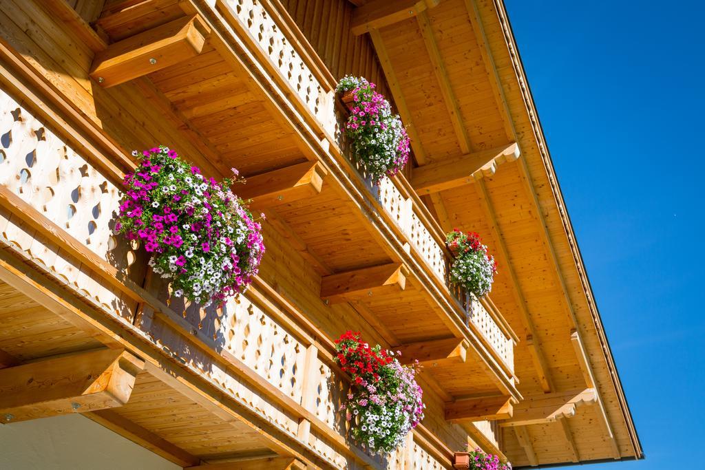 Rojerhof Villa Schladming Ngoại thất bức ảnh
